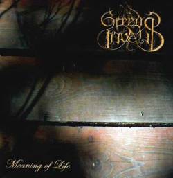 Greedy Invalid : Meaning Of Life